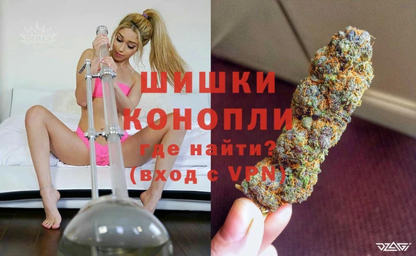 стаф Ряжск