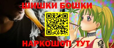 гидропоника Камышлов