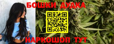 гидропоника Камышлов