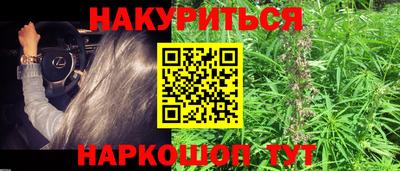 гидропоника Камышлов