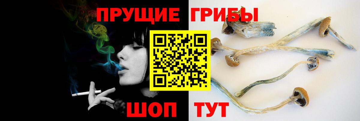 Урай  Галлюциногенные грибы Psilocybe  Псилоцибиновые грибы GOLDEN TEACHER  Вход с VPN 